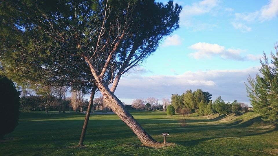 Golf Grand Avignon parcours Annuaire golf