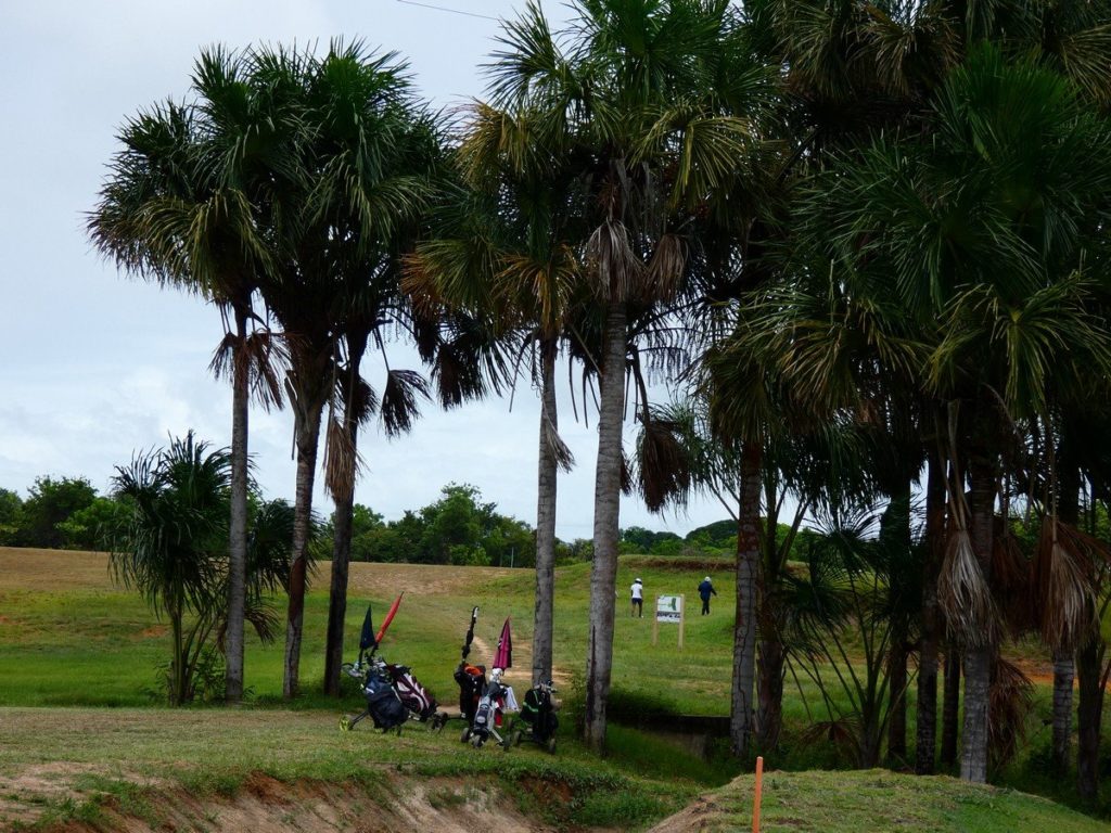 Golf de L'anse Parcours de golf en Guyane Française