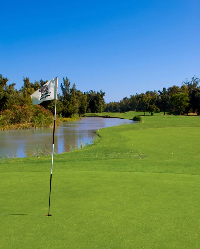 Penina Hotel and Golf Resort Trou 4 green obstacles eau