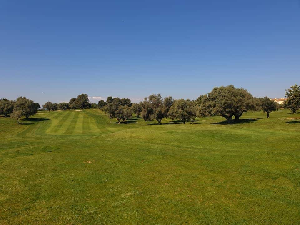 Panoramica Golf and Country Club Green fairway bunker