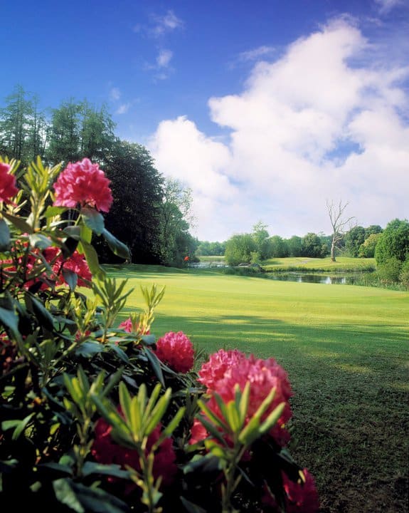 Headfort Golf Club - New Course vegetation