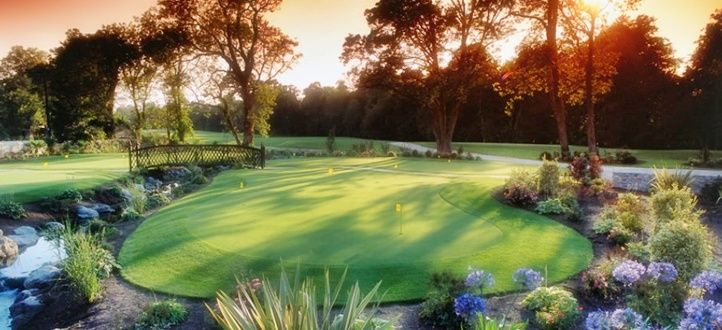 Palmerstown House Golf Club Putting green