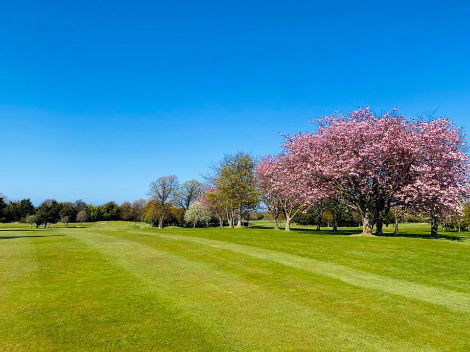 Royal Musselburgh Golf Club Parcours boisé