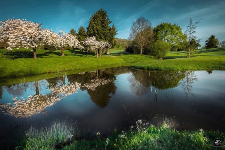 Golf Henri-Chapelle Parcours de golf Belgique