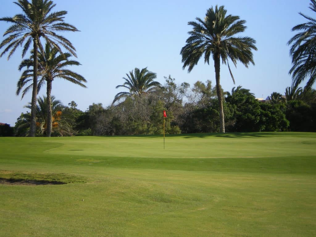 Golf Almerimar Green drapeau palmier ciel bleu