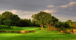 Hôtel Mount Wolseley Hotel Spa & Golf Resort Parcours de golf 18 trous irlande dublin vacances voyage sejour golf