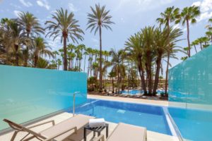 Hotel Riu Palace Oasis Chambre double avec pisine privée