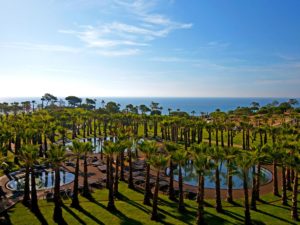 Sao Rafael Atlantico Algarve Portugal vegetation ocean atlantique palmiers pisicnes