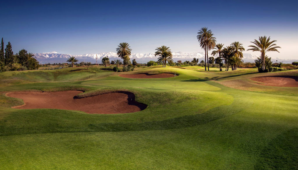 Golf Club Amelkis Marrakech palmiers montagne green fairway bunker