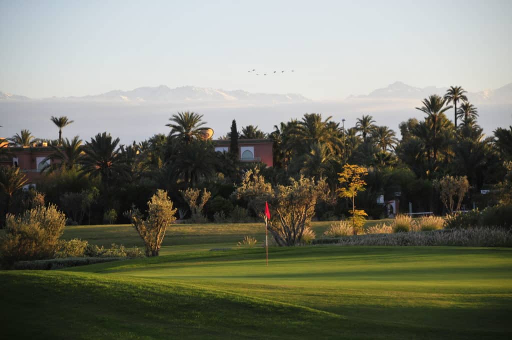 Palmgolf Marrakech Palmeraie Parcours de golf Maroc