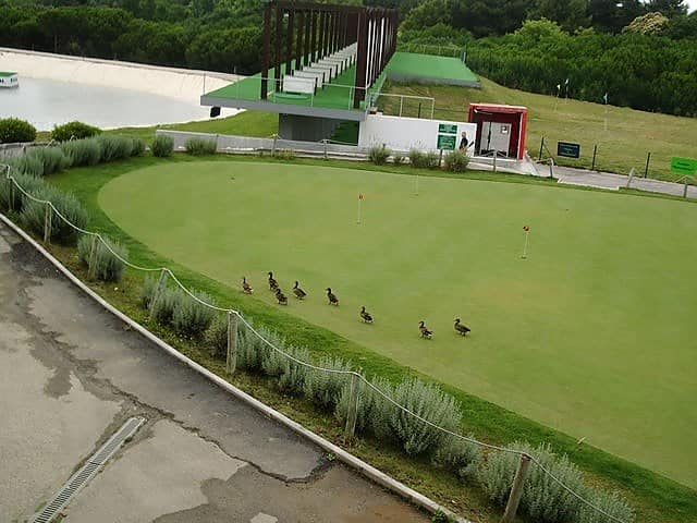 Paço do Lumiar Golf Course Practice Putting green