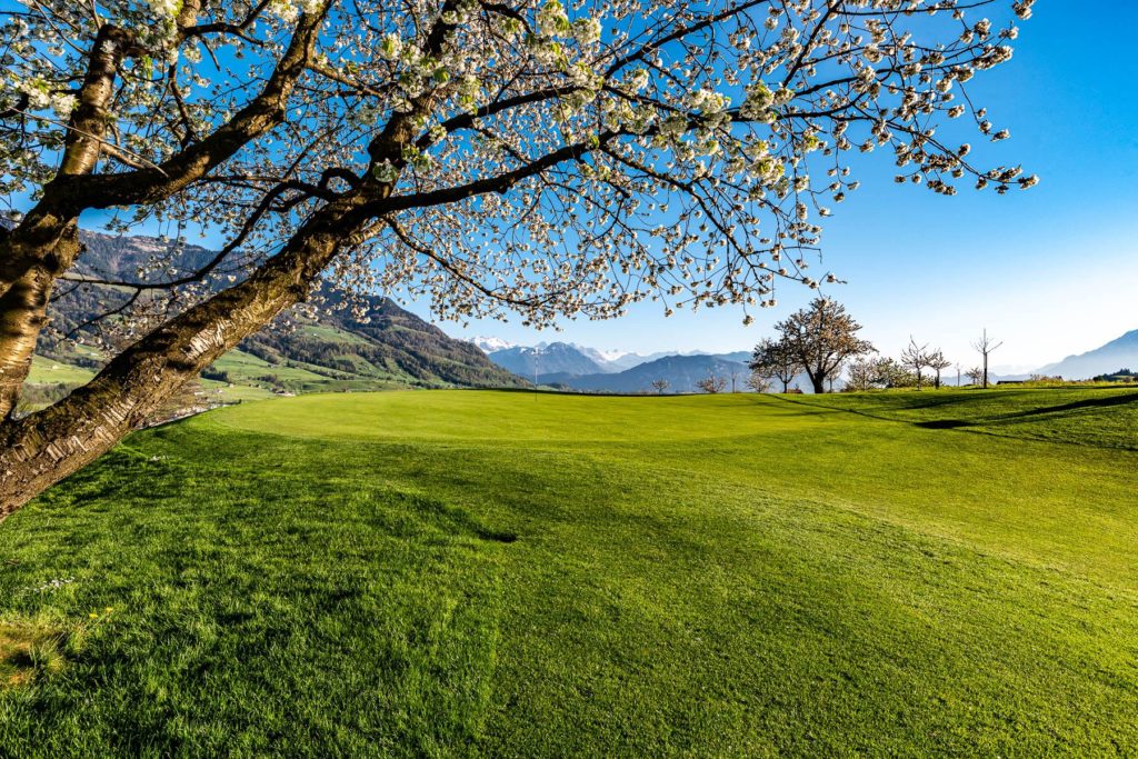 Golf Küssnacht am Rigi parcours de golf 18 trous Suisse Green fairway bunker