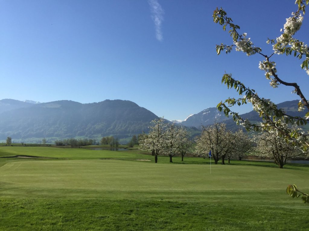 Golfpark Zürichsee green vue montagnes Suisse