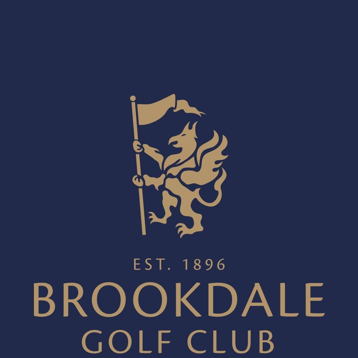 Brookdale golfová hůl - Lecoingolf